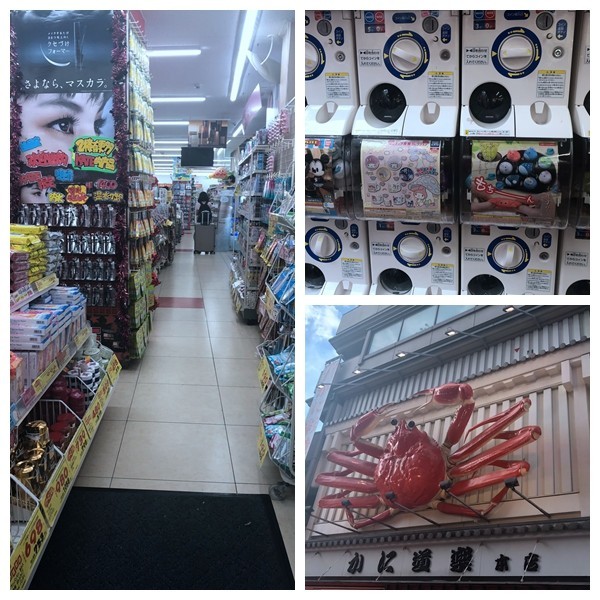 箱根到奈良如何坐车,日本东京京都箱根大阪奈良8日游