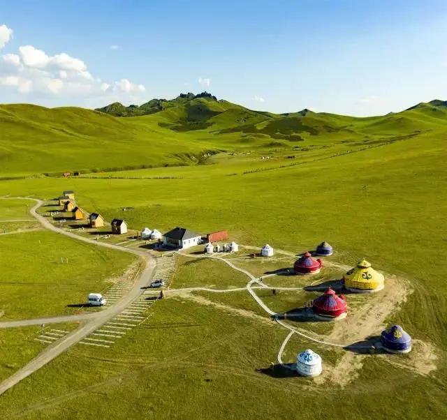 苏炳添,通辽欢迎你!吴智强,快带苏炳添回家