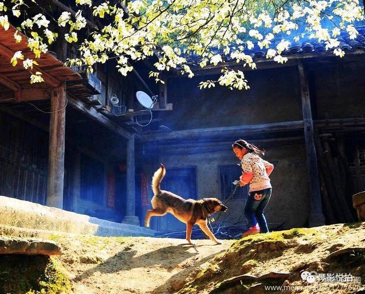 2019年“六一”节，洛阳巴图老师百幅儿童摄影图片