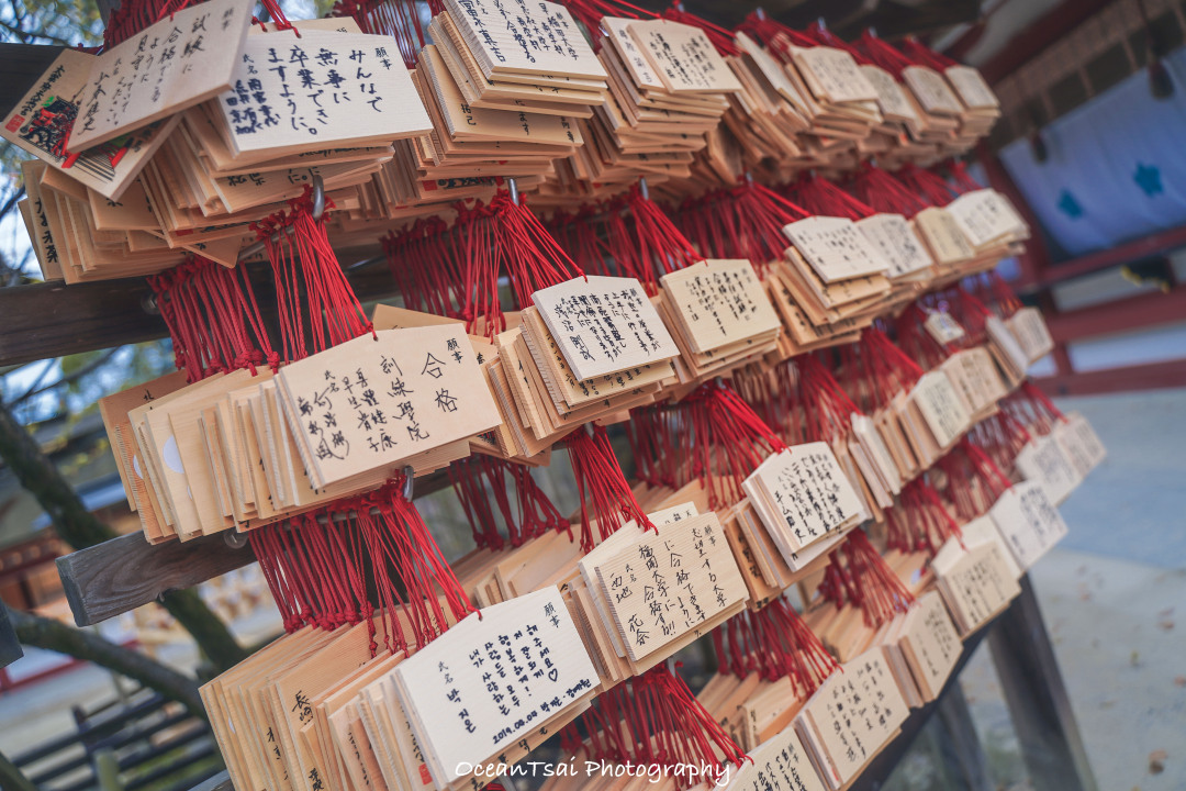 日本游轮游避坑,日本邮轮八天七夜具体行程