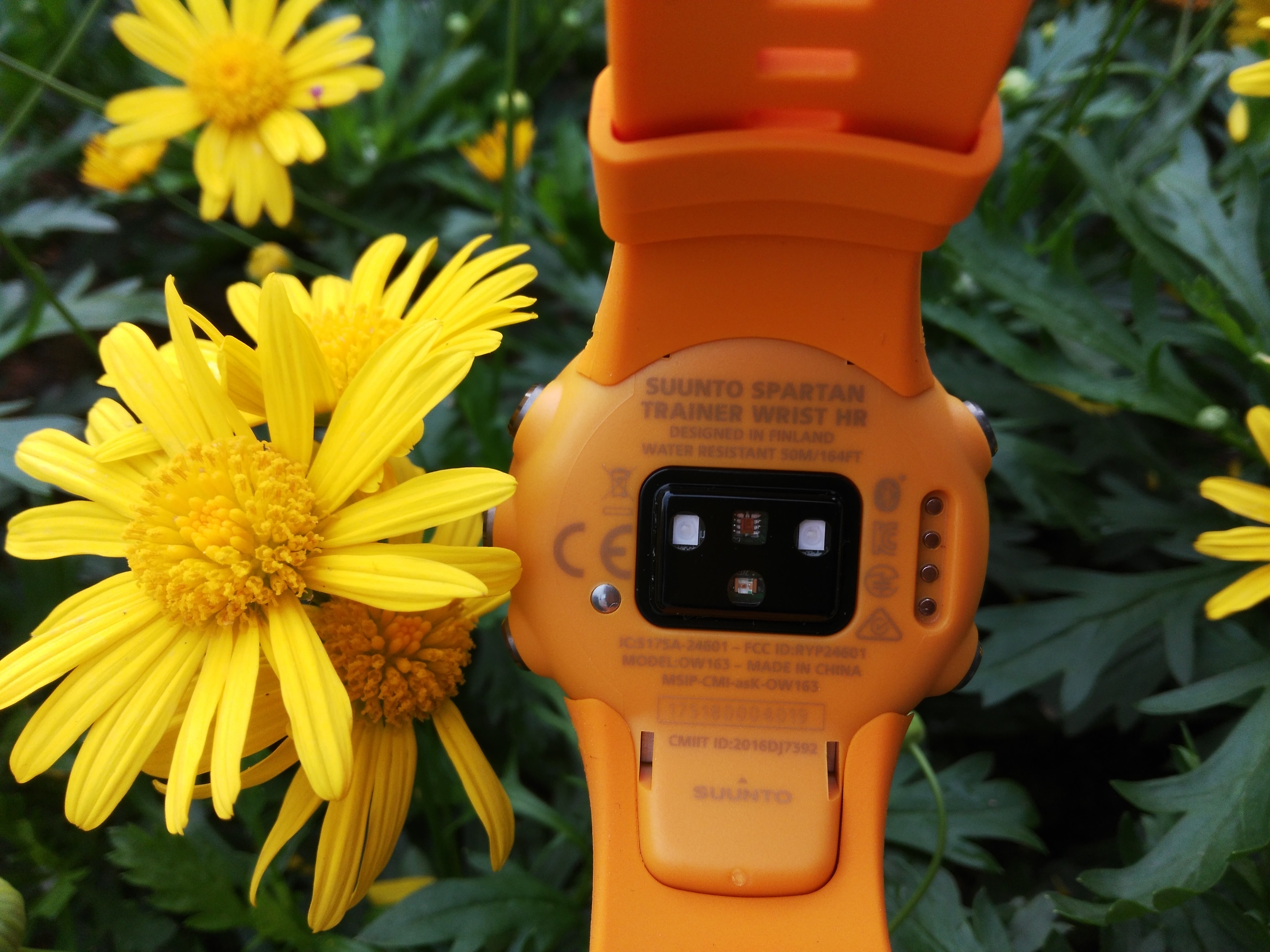 十款最佳运动手表男款,运动手表排行榜前十名运动手表