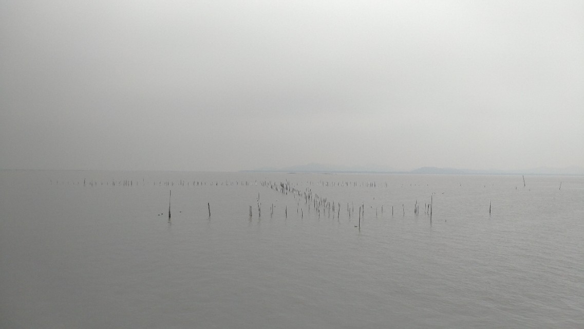 中山崖口美食推荐,崖口村煲仔饭云吞团购