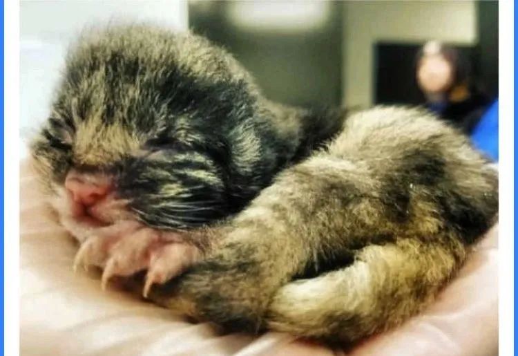 比刷花呗追星更可怕的，竟然是……