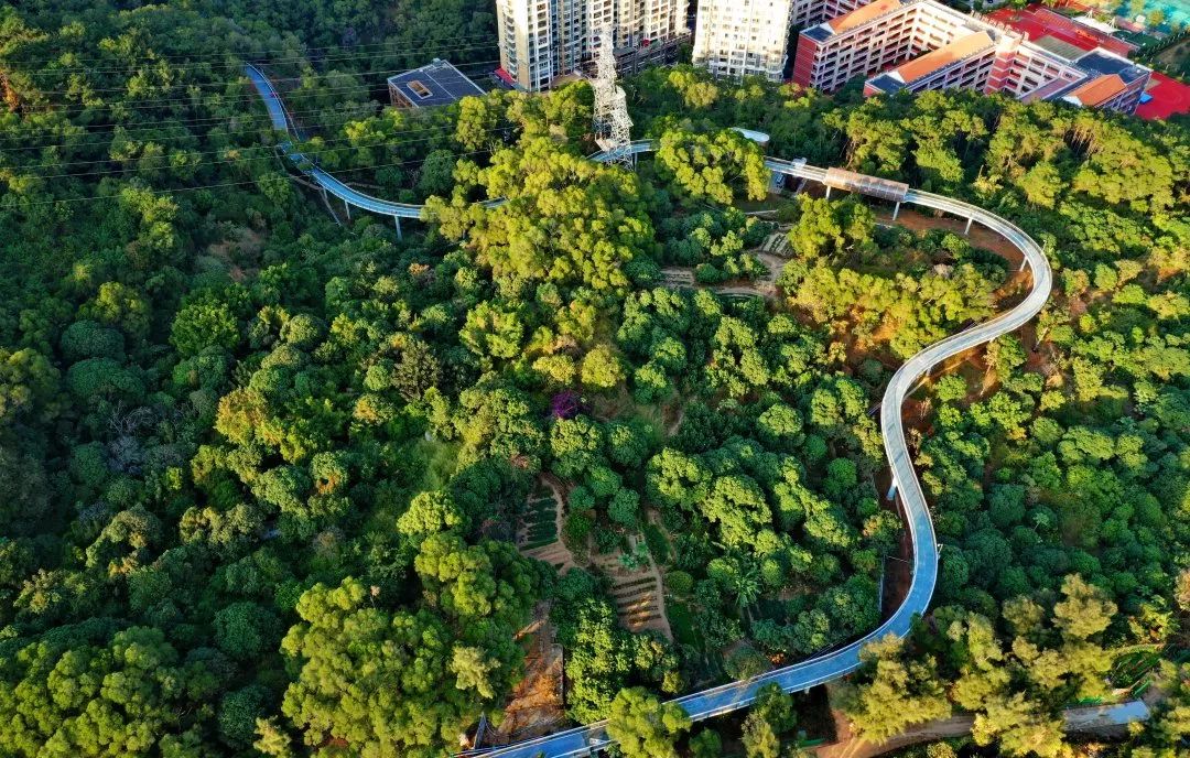 厦门绿道修建方案,厦门山海绿道最新规划