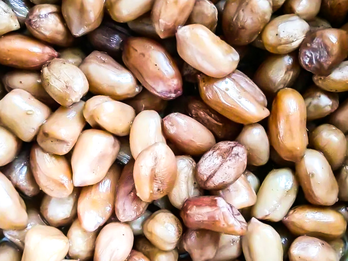 煮花生青菜凉拌,煮花生要怎么才不会黏黏的