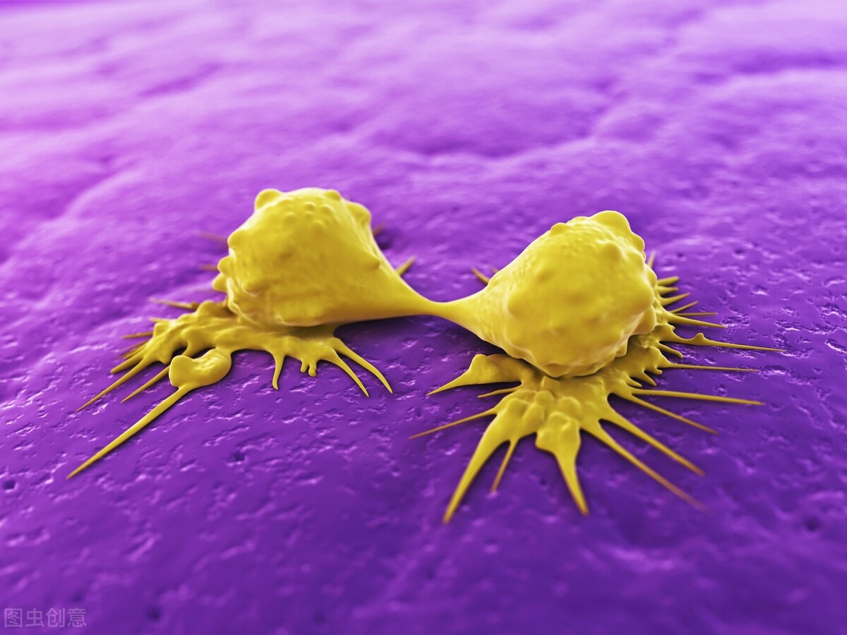 肺癌转移到肝上中医中药怎么治疗,直肠癌转移到肺部中医怎么治疗