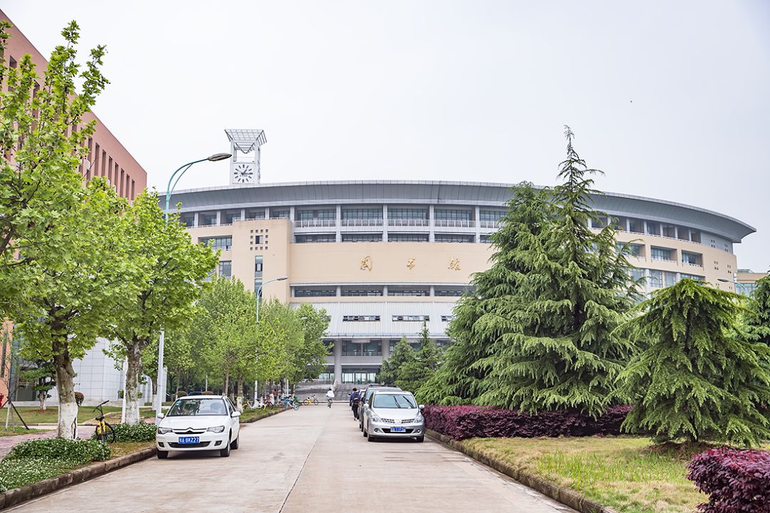 武科大算什么档次,武科大属于什么水平