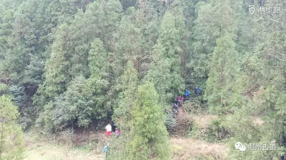 温州茶山红枫古道,浙江温州永嘉红枫古道