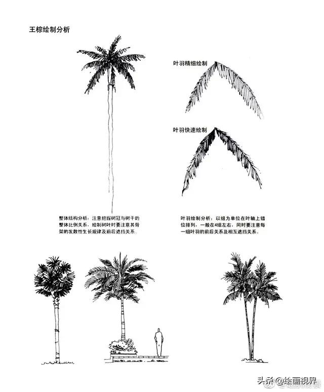 procreate风景画教程临摹技巧,怎么样才能画出最好看的风景画