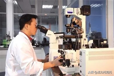 青城先锋,抓党建提士气助推脱贫攻坚