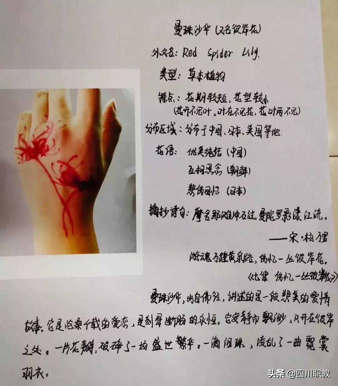 中学生面部彩绘,高校手绘