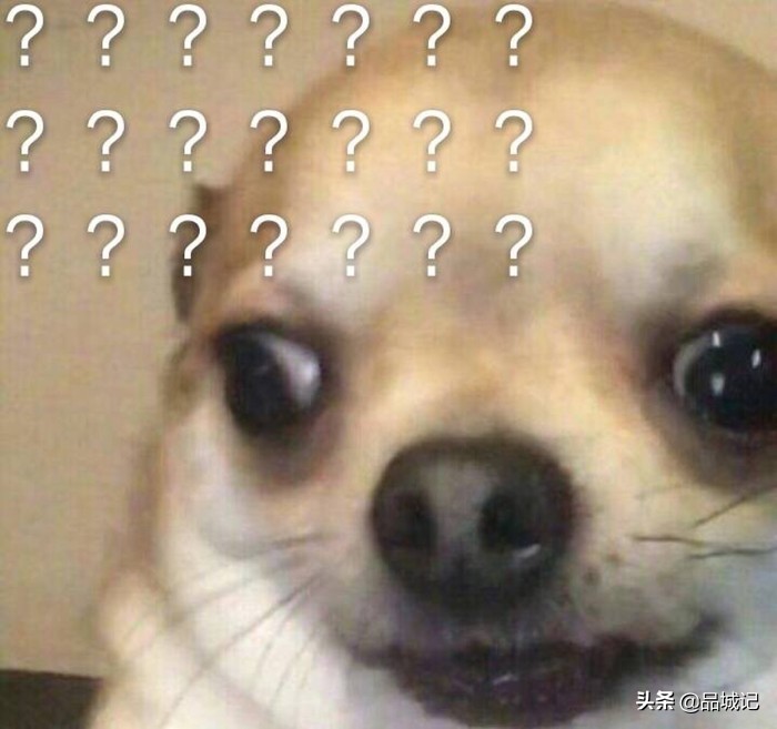 爱马仕凉皮,凉皮界的爱马仕