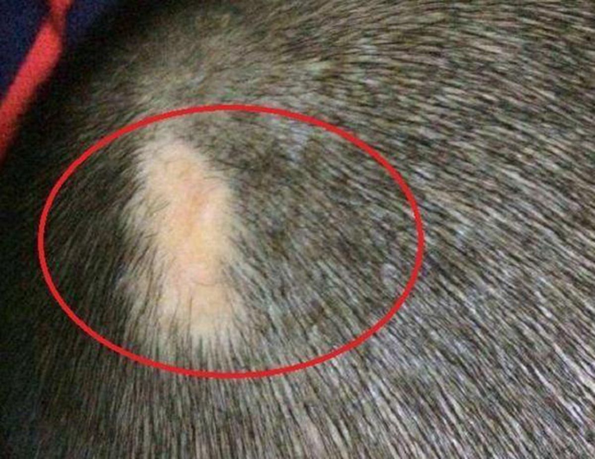 顺产、剖腹产选哪个？两种分娩方式各有利弊，孕妈有必要了解一下