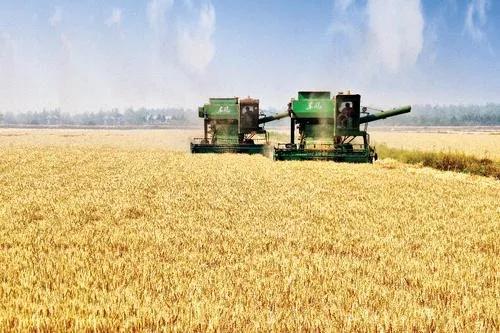 农业农村部28个重点扶持项目,2021农业扶持项目申请条件