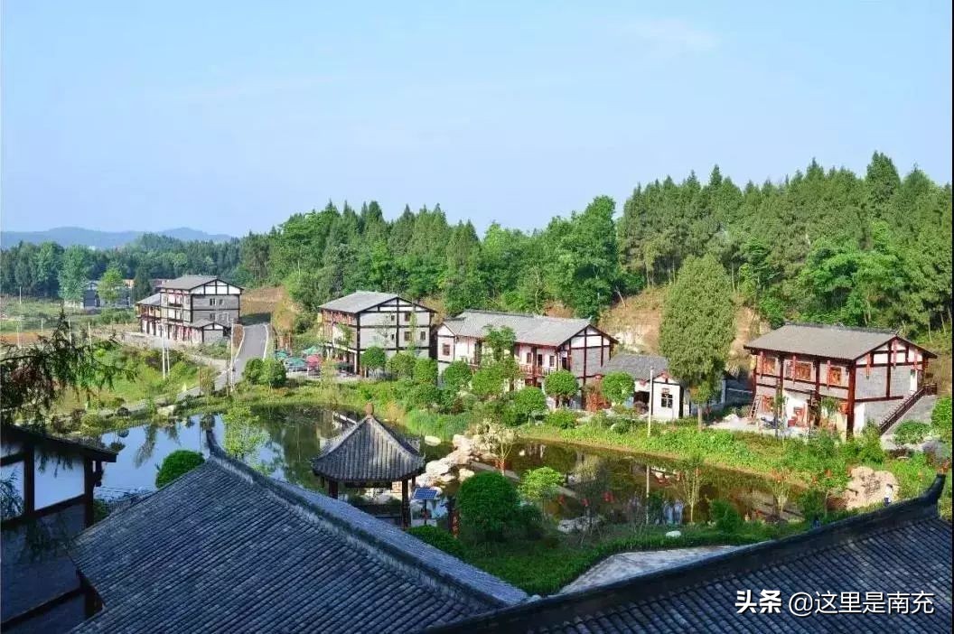 南部县最新消息有哪些,最新南部县消息