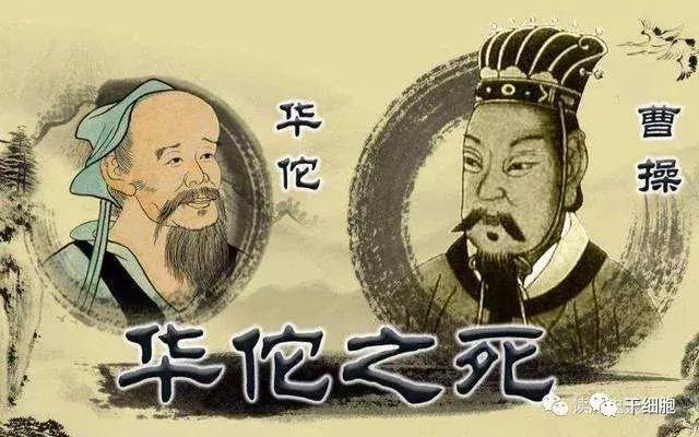 细胞治疗与医学前沿,细胞治疗会成为未来医学的主流吗