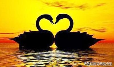 幽梦影讲的什么,幽梦影节选全文及译文