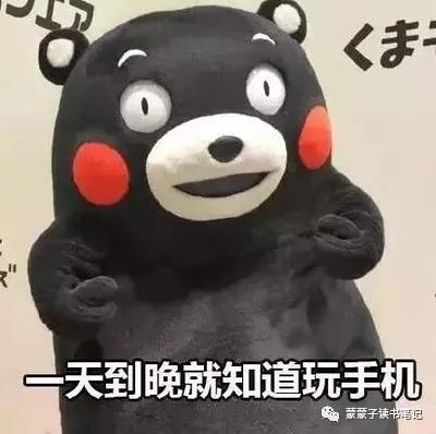 戒手机瘾6步轻松搞定,戒网瘾游戏第四章