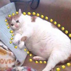 吃瓜一词是怎么来的,吃瓜一词的由来