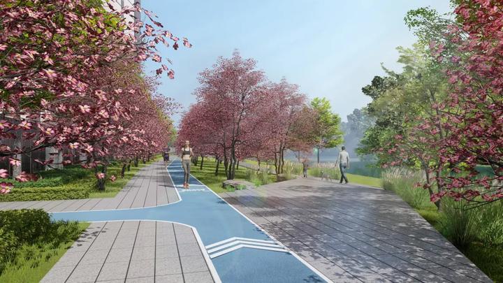 枫泾世纪金源梧桐印象交房,上海枫泾世纪金源梧桐印象