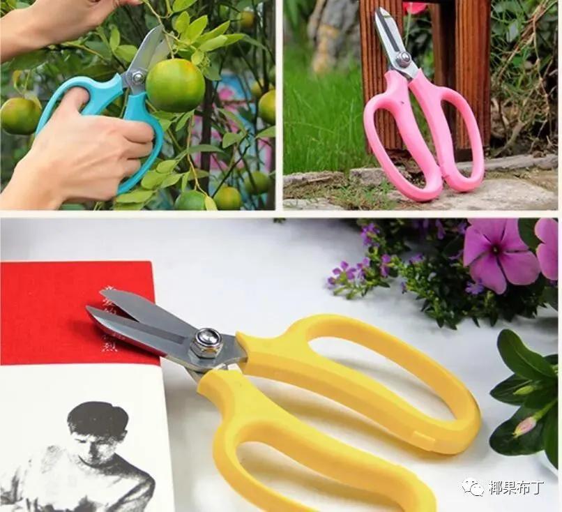 哪个品牌园艺剪刀好一点耐用,什么牌子的进口园艺剪刀最好