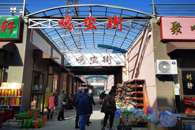 天津市中环花鸟鱼虫市场的位置,天津中环花鸟鱼虫市场现在开了吗