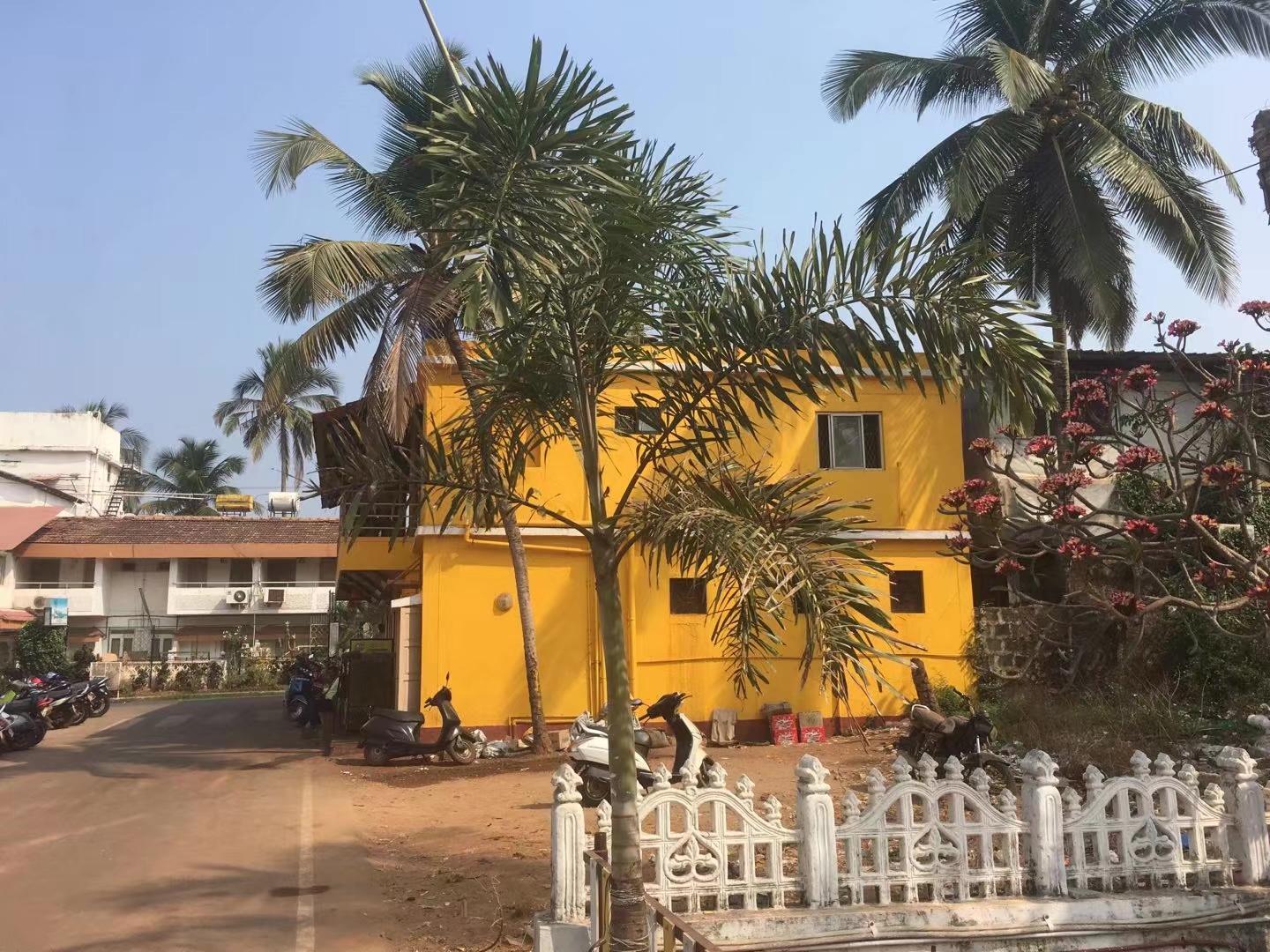 印度疫情日记2019,抗疫日记印度