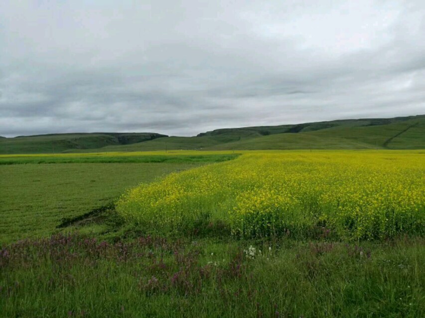 青海大柴旦最新新闻,青海大柴旦雪山风景