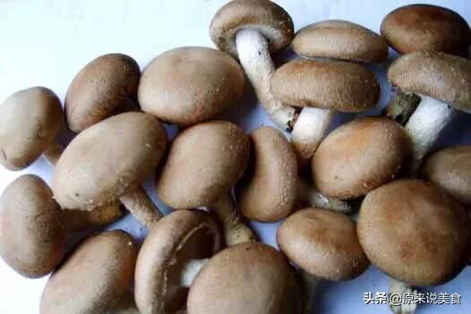 买香菇鲜的,买香菇时怎样选香菇