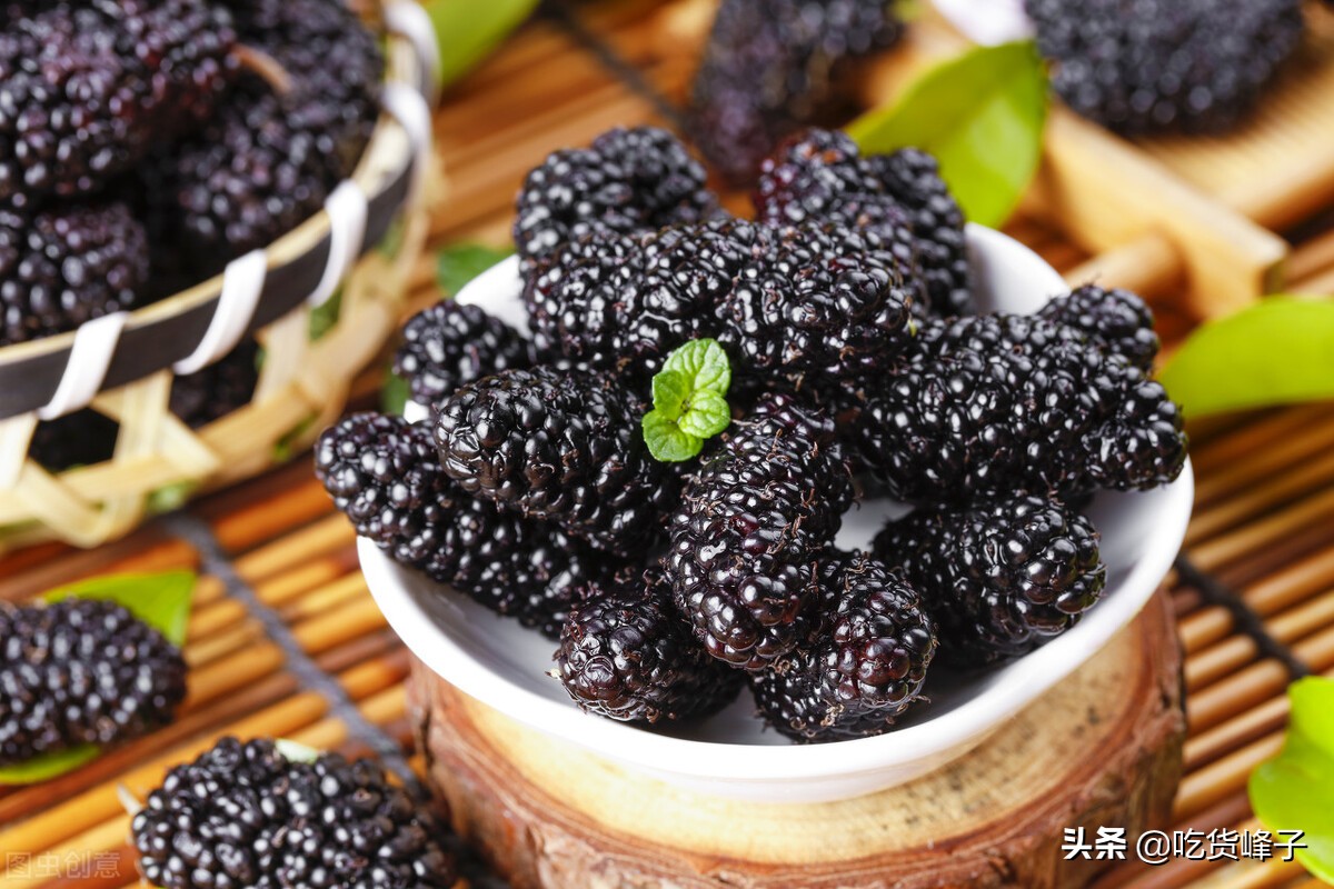 吃桑葚怎么洗才没有虫子,只用清水洗桑葚