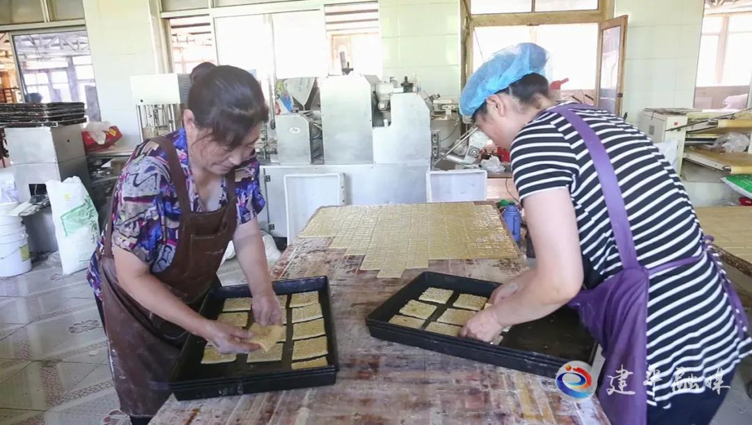 农村能人助力乡村振兴方案,乡村振兴培育致富带头人