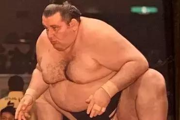 日本什么店面生意多,日本商业哪方面发展好