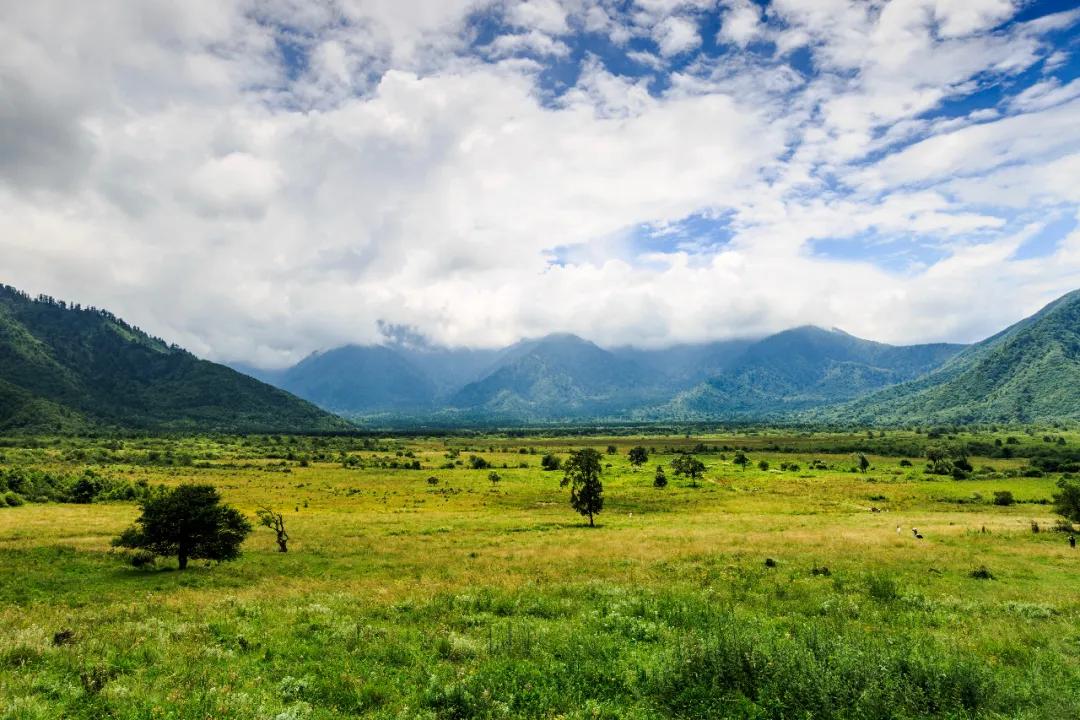 雅安这几天发生的车祸,这就是雅安原版