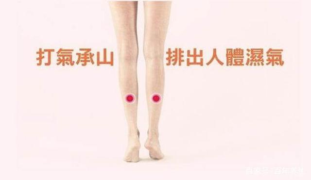 身体虚弱怎么办如何补气血,身体虚弱怎么办怎么补充营养