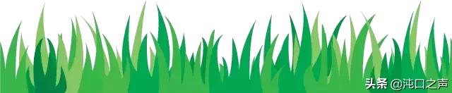 激动足球,激动人心的足球赛