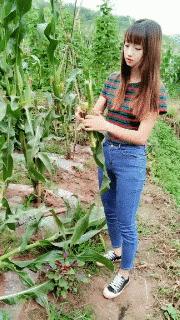 每天笑不停现代版原唱,托马斯回旋踢飞踢