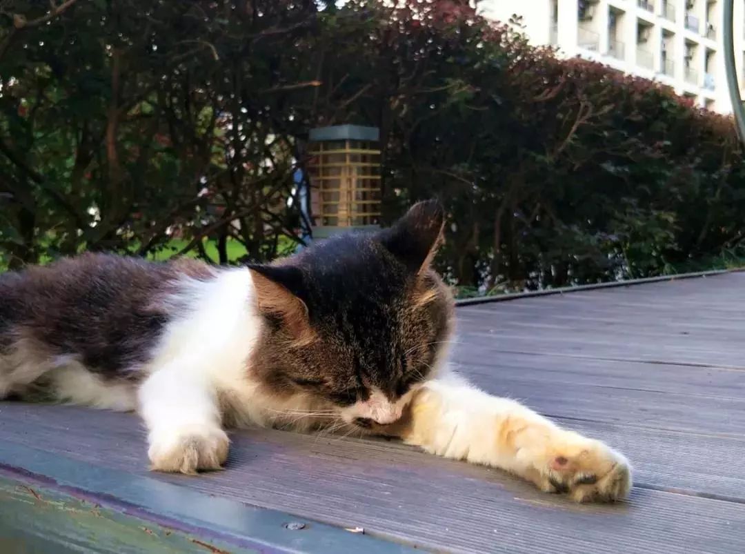 苏州工艺美院,苏州工艺美院代码