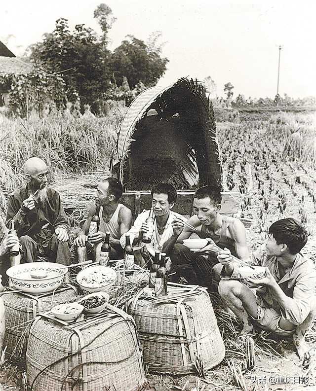 鍐滃満杞瀷缁忚惀妯″紡,鍐滀笟铦跺彉鍐滃満鎼嚎涓婅交鏉惧綋鍐滄皯