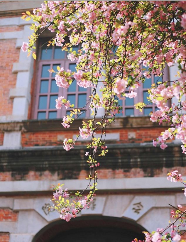 被大理丽江掩盖风头又怎样？它才是云南No.1！5月它太美了