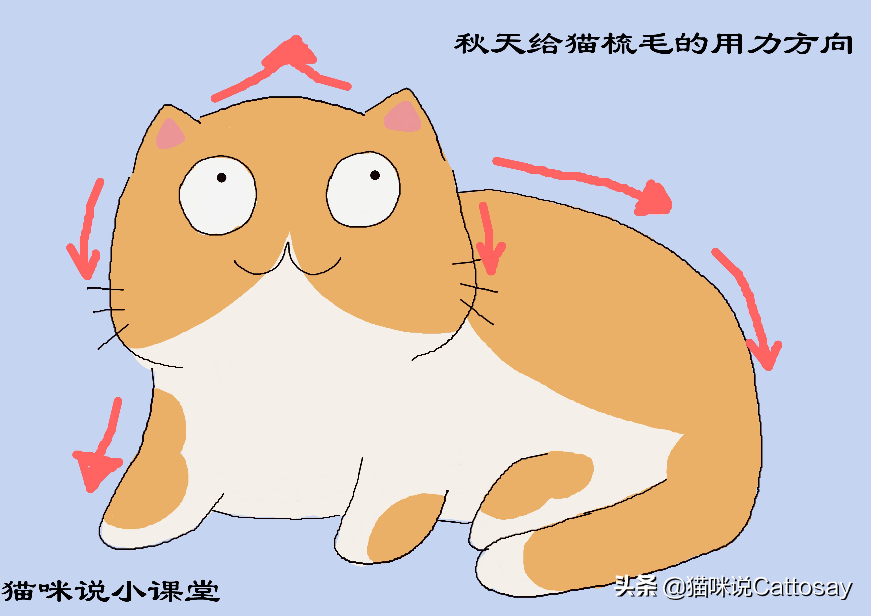 秋天猫容易掉毛不,秋天猫掉毛严重怎么办