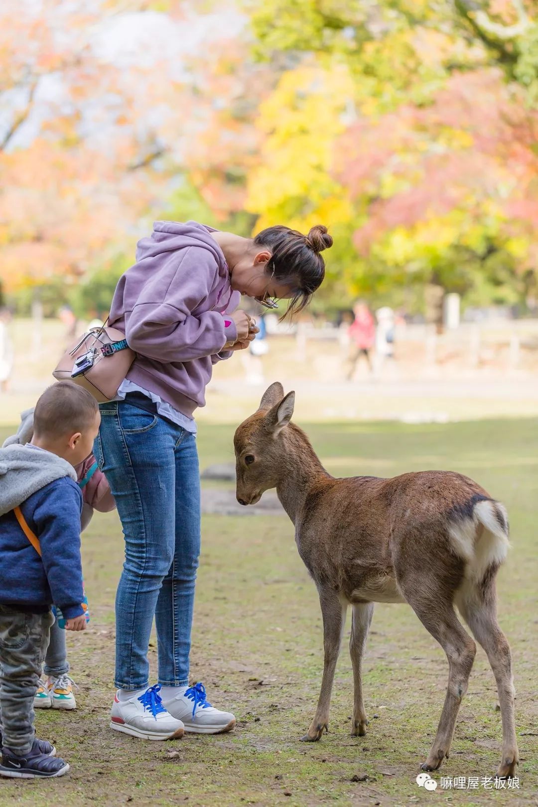 京都和大阪地理位置,京都奈良大阪位置