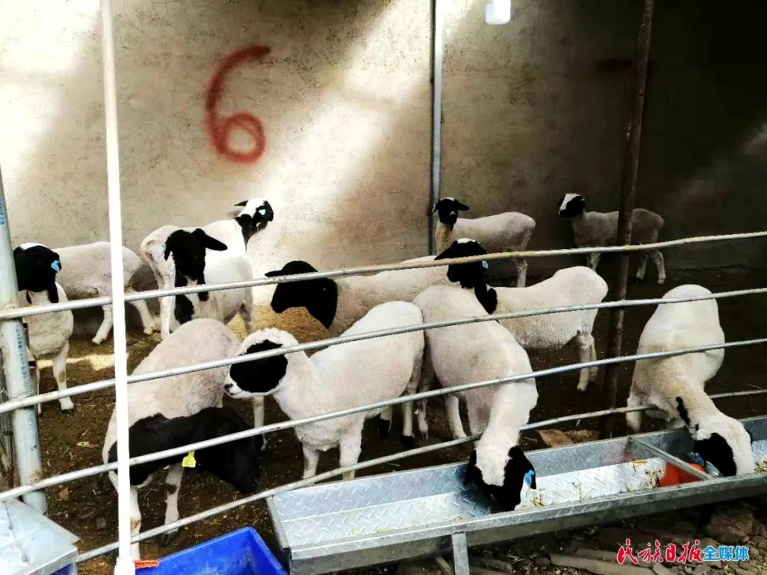 2022年临夏创业贷款什么时候开始,临夏县创业担保贷款详细流程