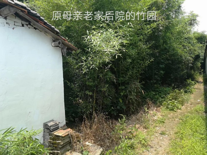 嘉兴与吴兴沈氏,嘉兴秀城桥简介