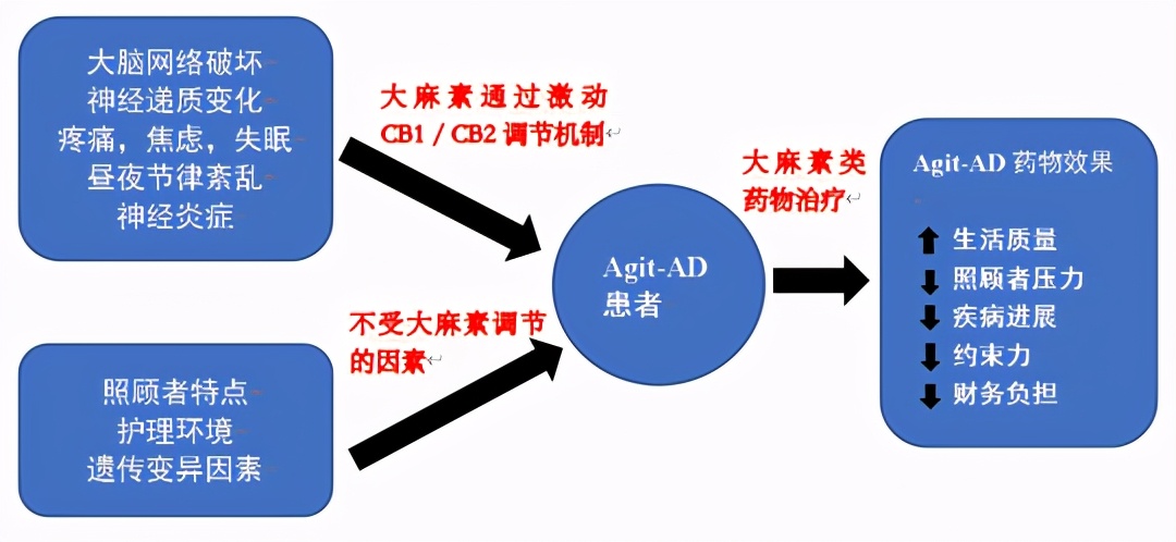 治疗阿尔茨海默病的单抗药物,治疗阿尔茨海默有效新药