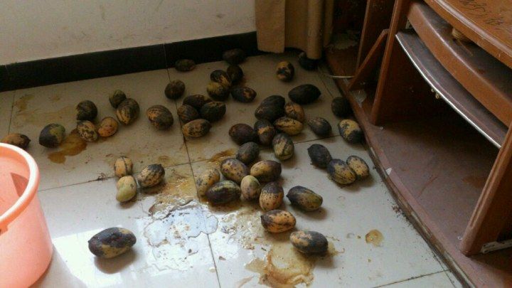 广东海关公务员报考条件,进入海关单位需要考公务员吗