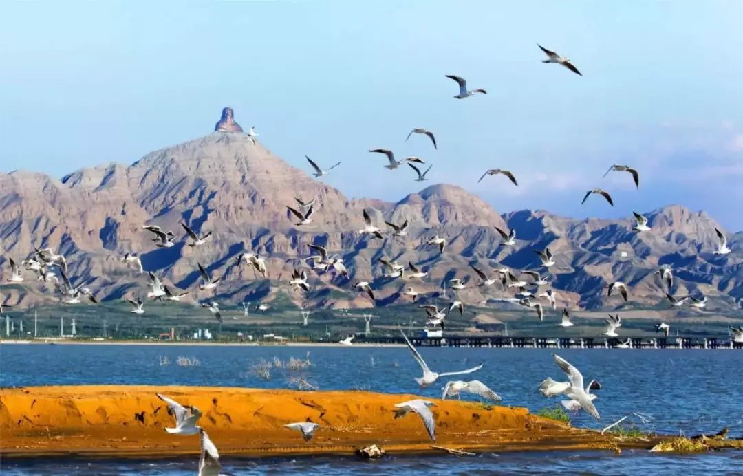 低调的实力派歌手,低调的实力派艺人