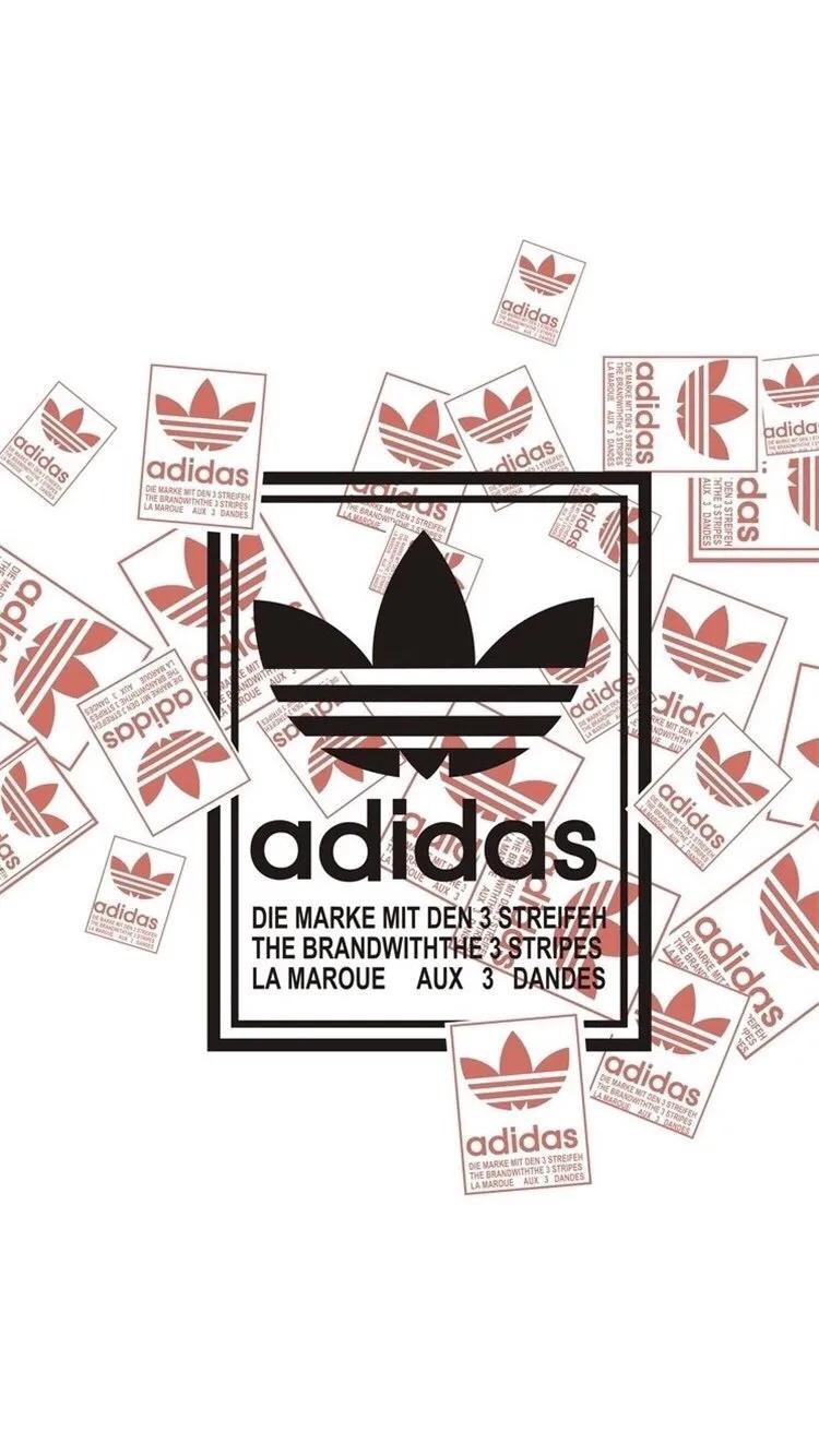 超高清手机壁纸三叶草,简约干净壁纸超清三叶草