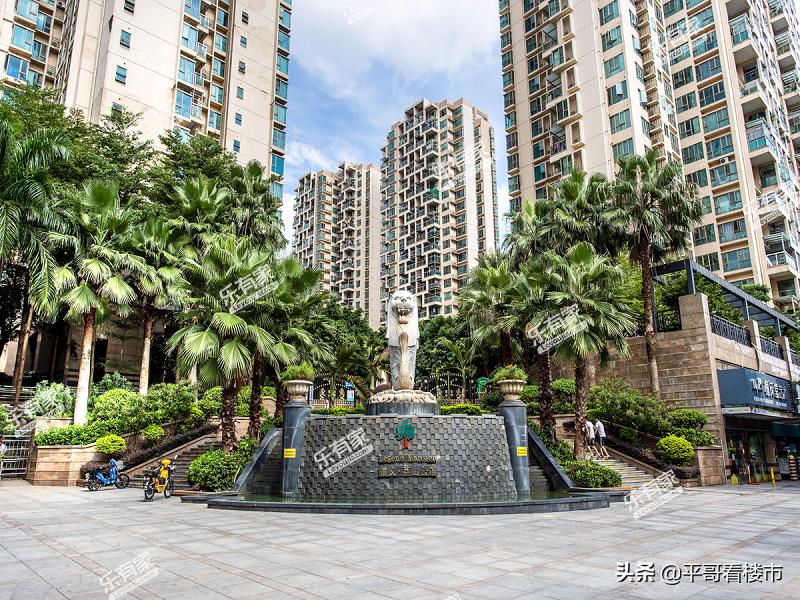 深圳市中心攻略,深圳布吉岛旅游攻略