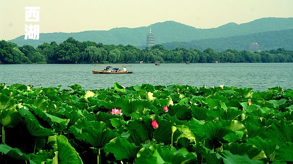 瘦西湖不预约能进吗,瘦西湖最近何时免费