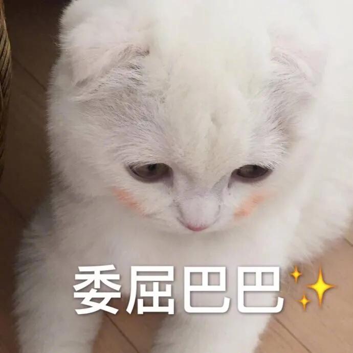 小狗用英语说,小狗用英语怎么说儿歌